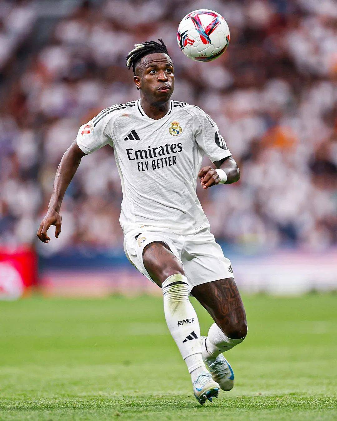 费城染色体阳性报告单怎么看